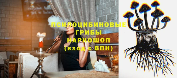 ECSTASY Дмитров